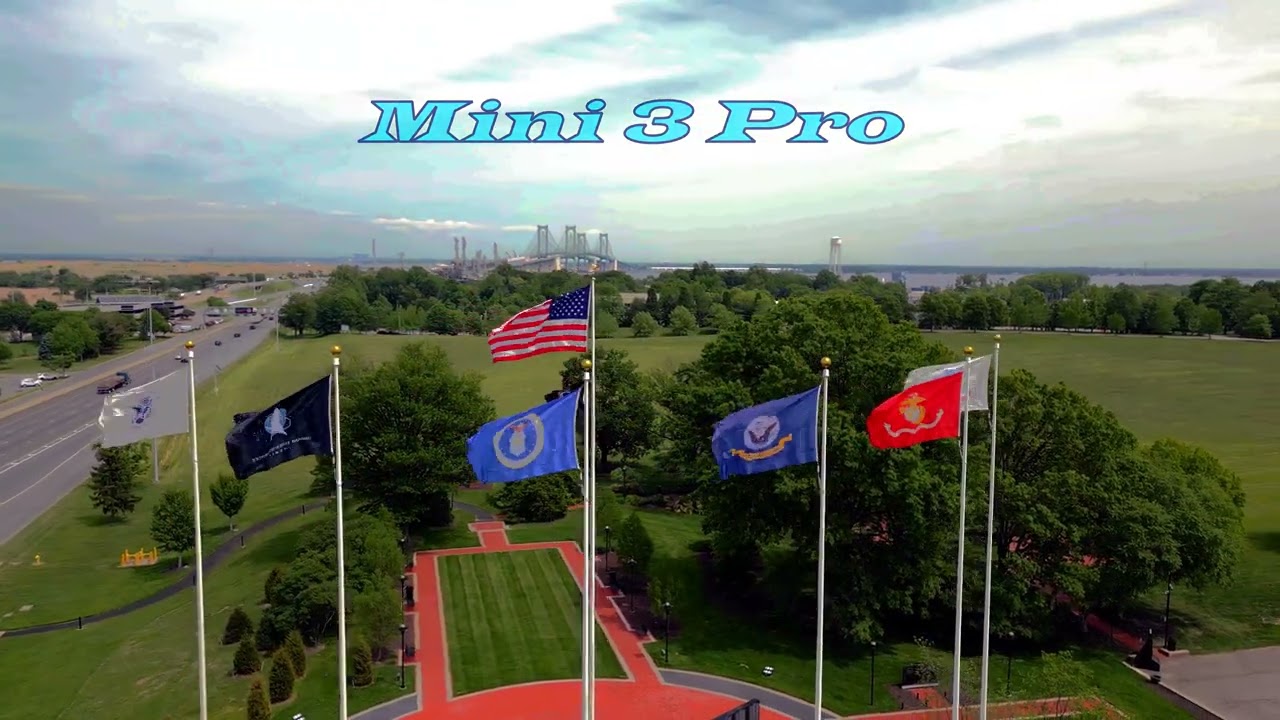 Soaring Over Memorial Park