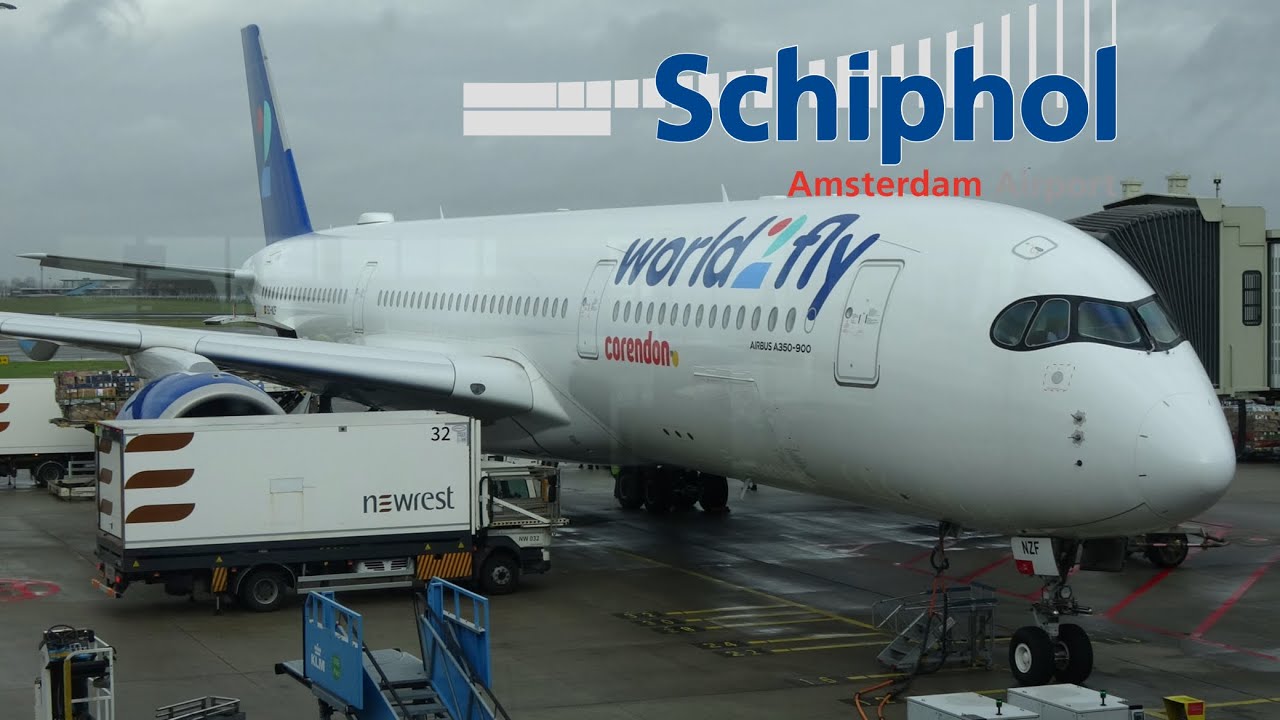 PLANESPOTTING AT AMSTERDAM SCHIPHOL AIRPORT (AMS/EHAM) - A330s, B767 & MORE! 12/02/26 ✈️