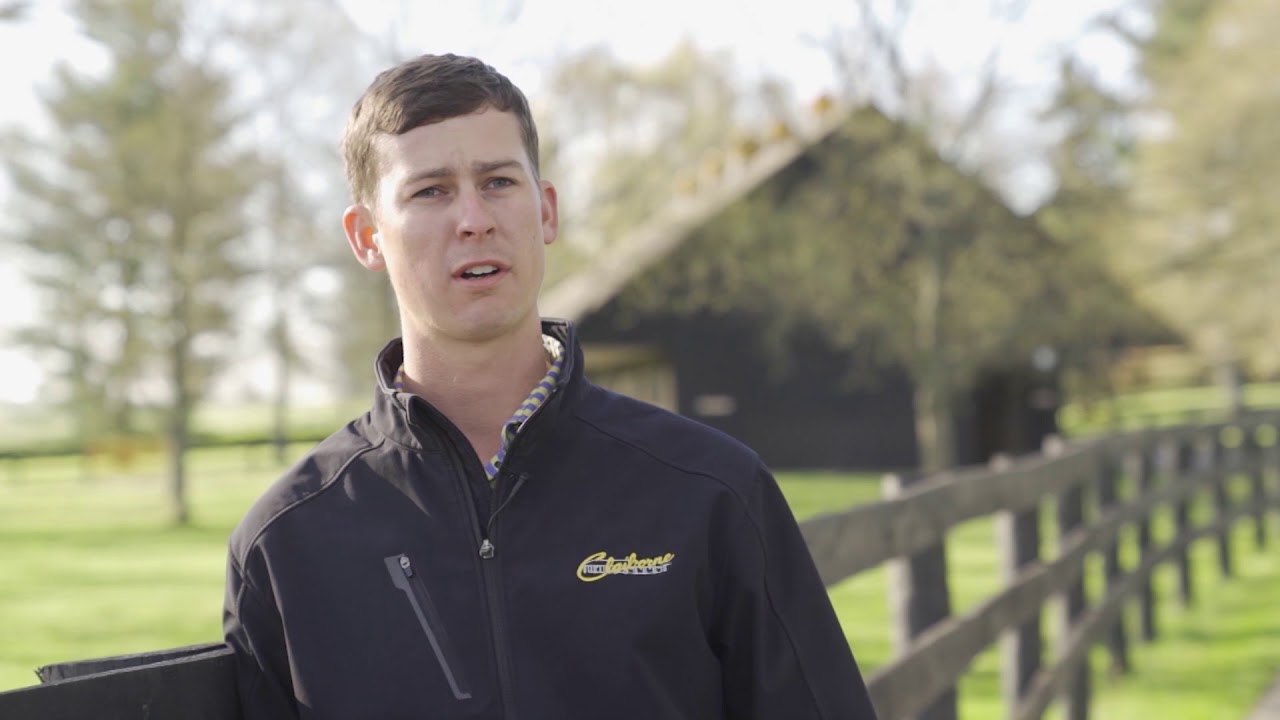 Claiborne Farm 2018 Update