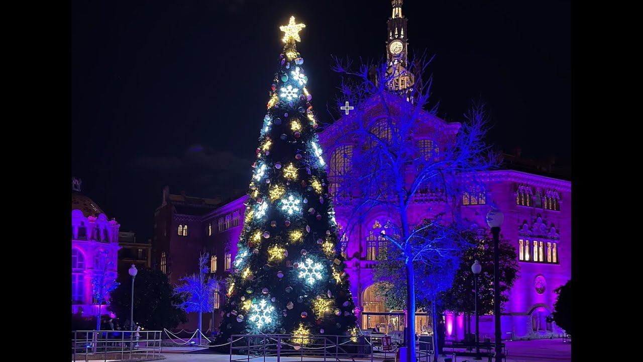 Vlogmas 21 | Midwinter! Stilte, reflectie en rust!