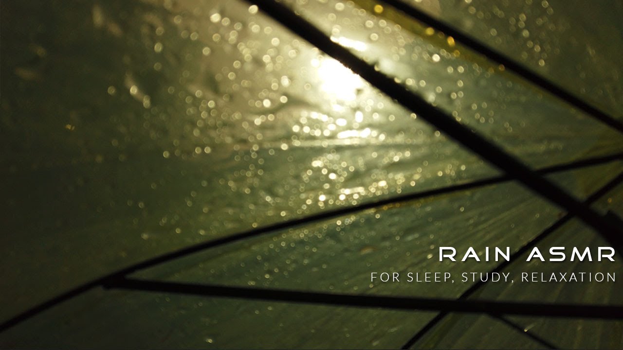 30 minute Rain ASMR | 3D Binaural Rain Sounds On Umbrella For Sleep, Relaxation, Study, Meditation