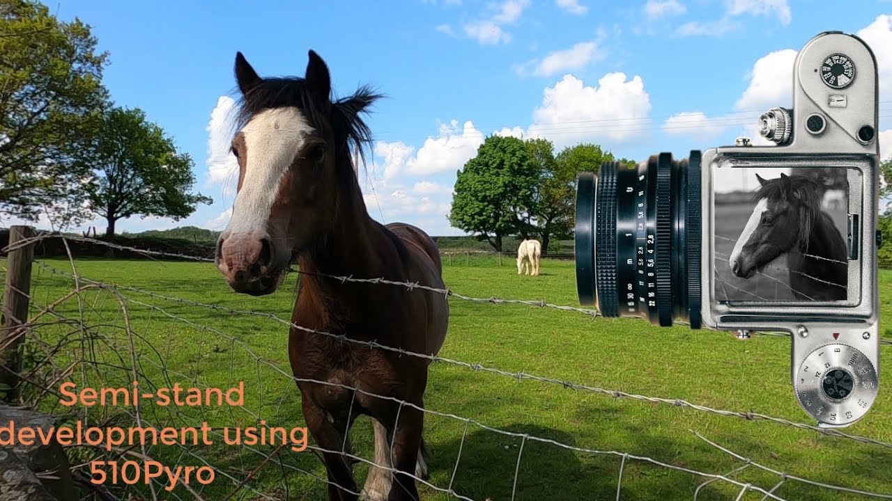 Pentacon 6, 180-мм Sonnar и 80-мм объектив Biometar, а также полуштативное проявление в 510 Pyro