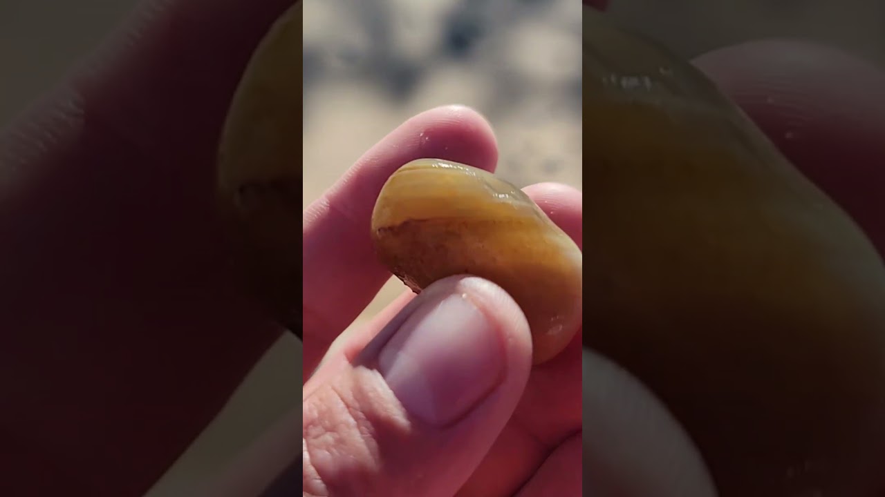 WildCat Shores, часть 2: Сара нашла потрясающий агат «Уровень воды» с невероятными белыми полосами.