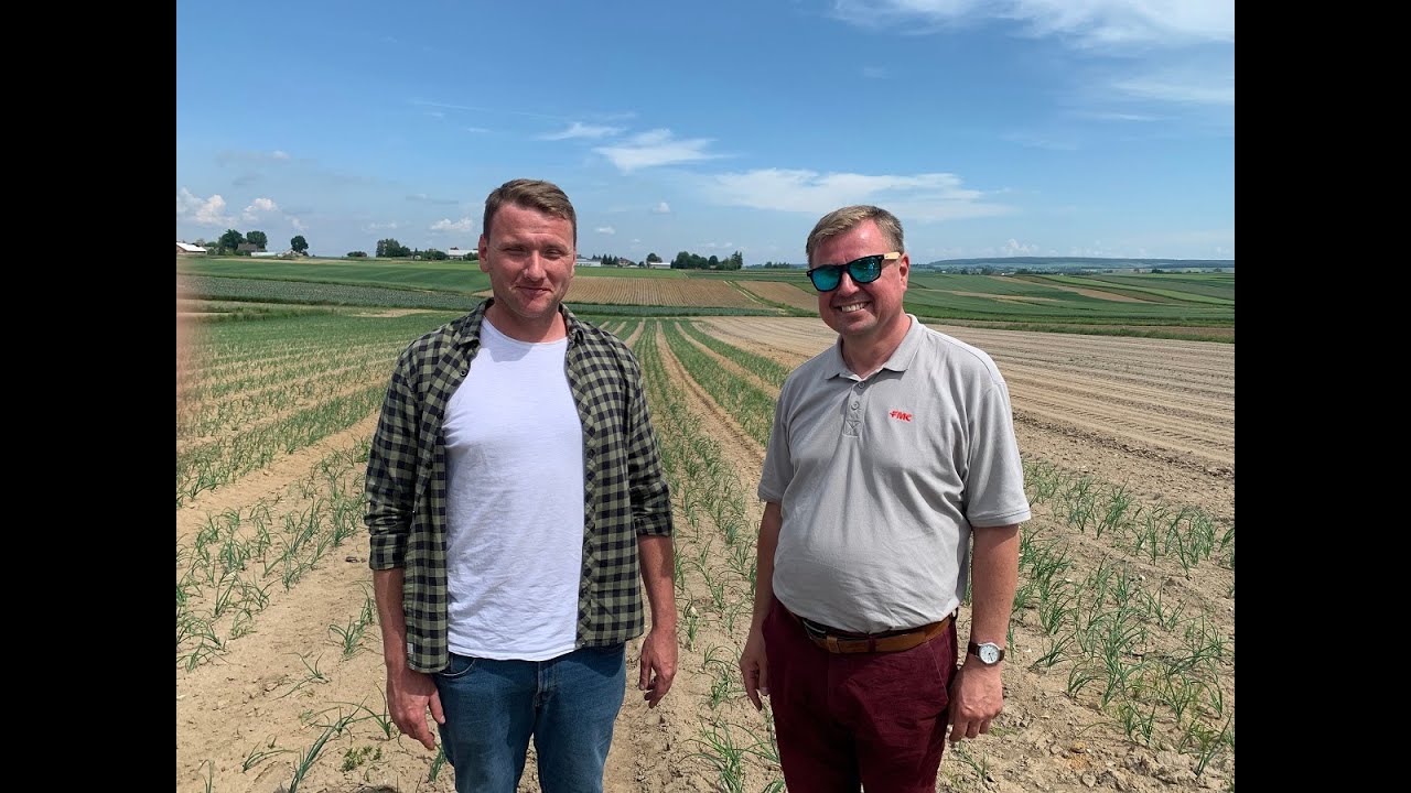 Wciornastek w cebuli? Zastosuj Benevia 100 OD