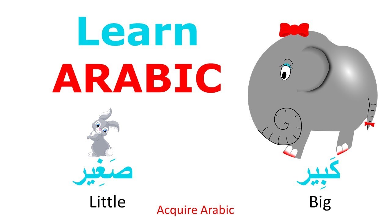 Learn Arabic Language_  Learn Arabic as a Beginner! 🤩