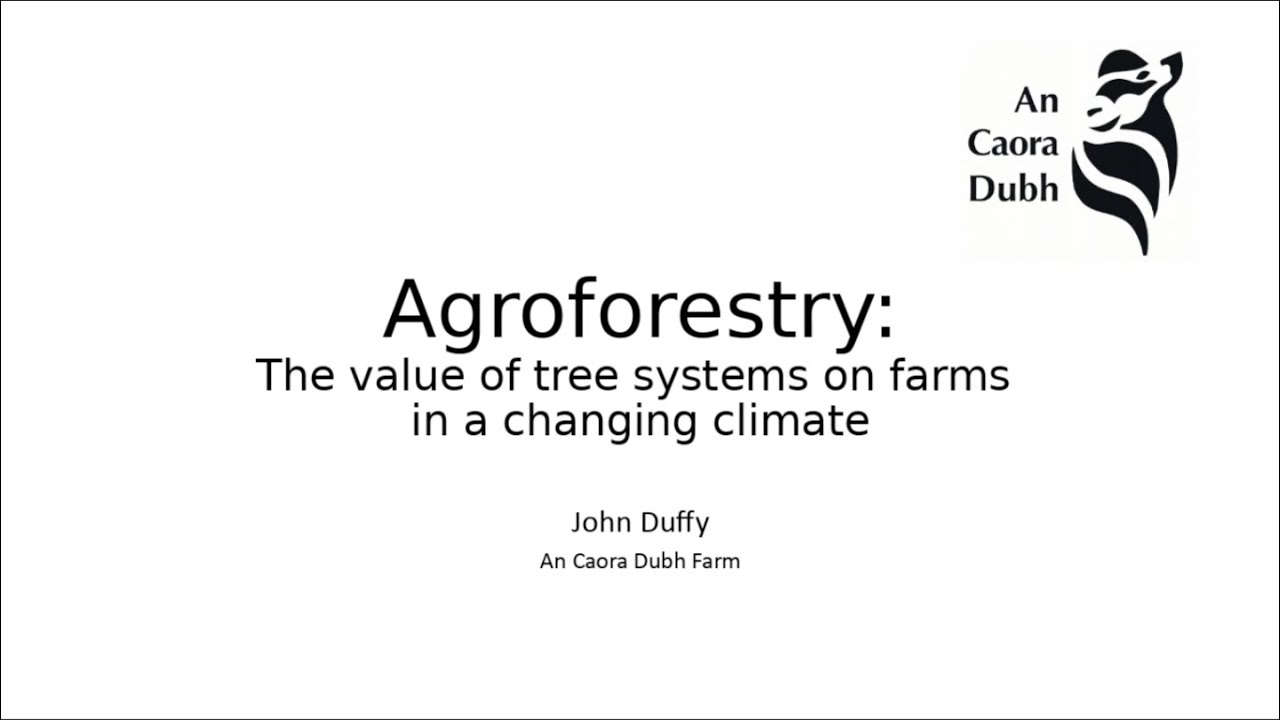 Agroforestry design in the Irish context