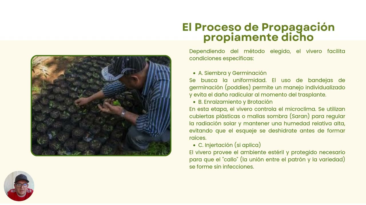 propagación de plantas