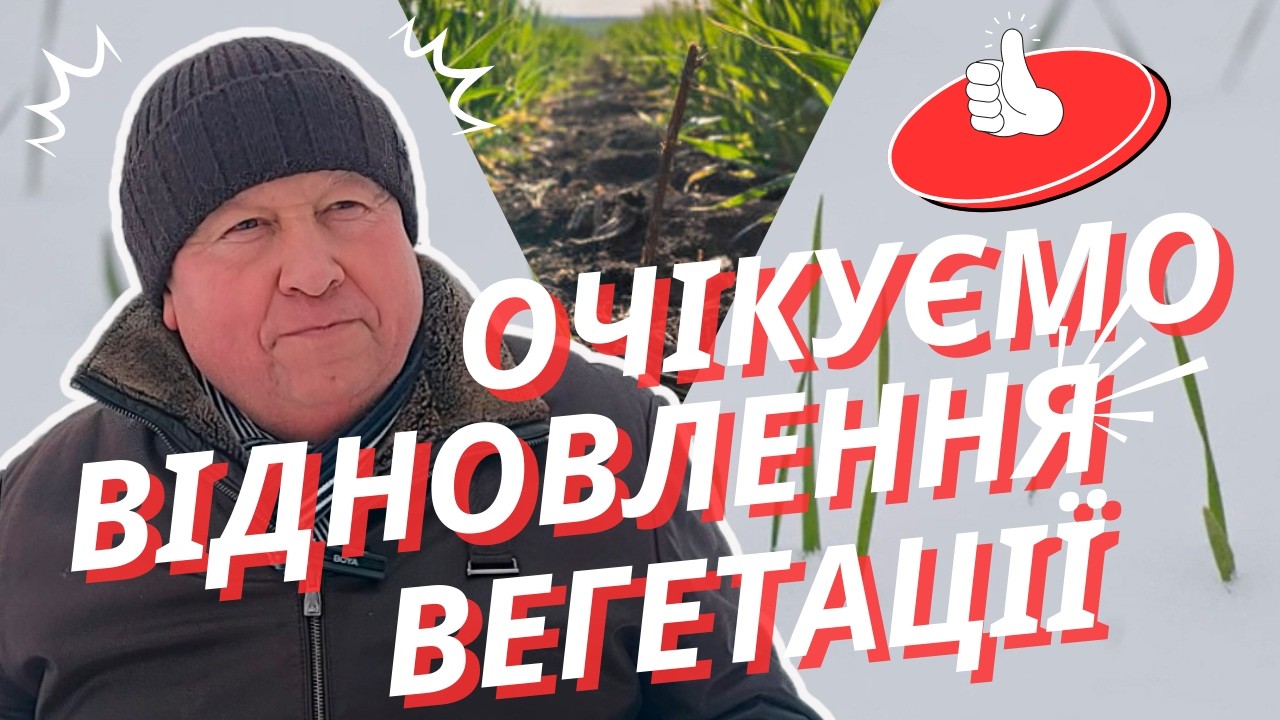⁉️КОЛИ очікувати ВІДНОВЛЕННЯ ВЕСНЯНОЇ ВЕГЕТАЦІЇ🔎🌾