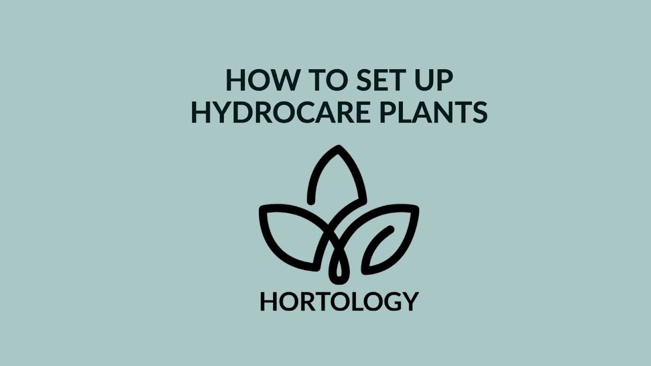 How To Set Up HydroCare Indoor Plants