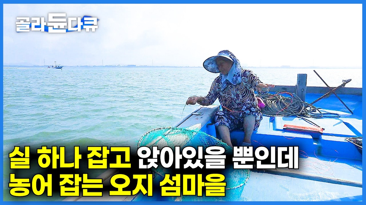 육지에서 딱 오분 거리인데. 앉아서 실 하나 던졌을 뿐인데 농어가 딸려온다｜베테랑 낚시꾼의 놀라운 기술｜한국기행｜#골라듄다큐