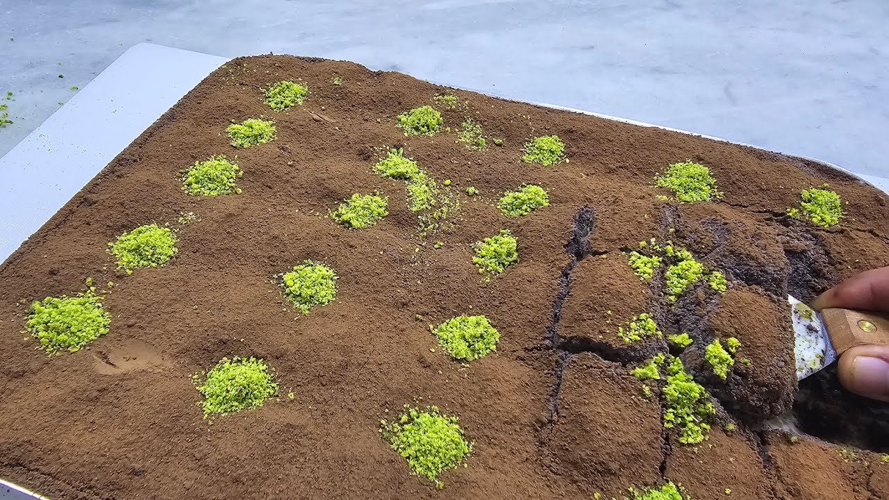 بقلاوة تركيا بالشكولا والحليب صنف يقدم بارررد ولا أطيب