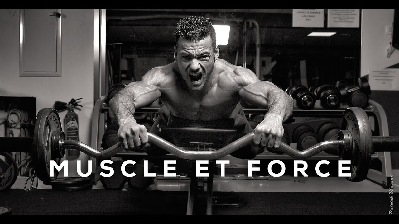 Prendre de la FORCE en musculation - FITNESSMITH (HD)