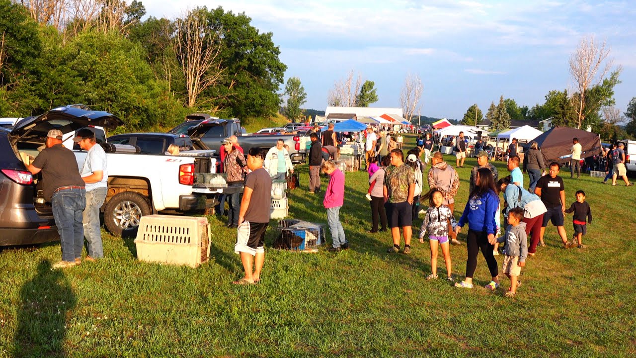 PK Swap Meet Animals Sale In Amherst,WI /July 22nd,2023