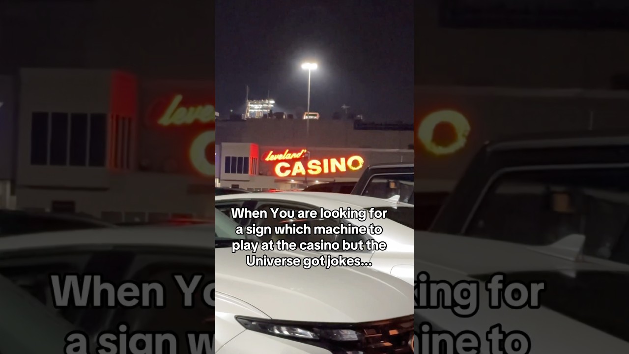 When You Ask the Money Gods for a Sign 😂🤣