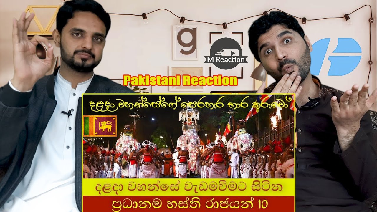 Top 10 Elephant Kings Existing Tooth Relic in Sri Lanka 2022 | Pakistani Reaction