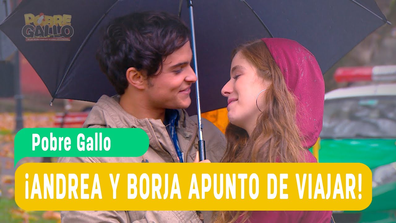 Pobre Gallo - ¡Andrea y Borja apunto de viajar! - Andrea y Borja / Capítulo 114