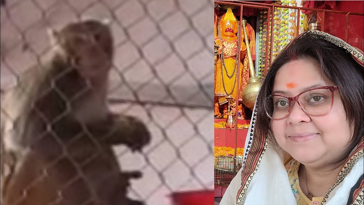 আজ হনুমানজি স্বয়ং এসেছিলেন || এমন দৃশ্য vlog এও রাখার সৌভাগ্য হলো আজ 