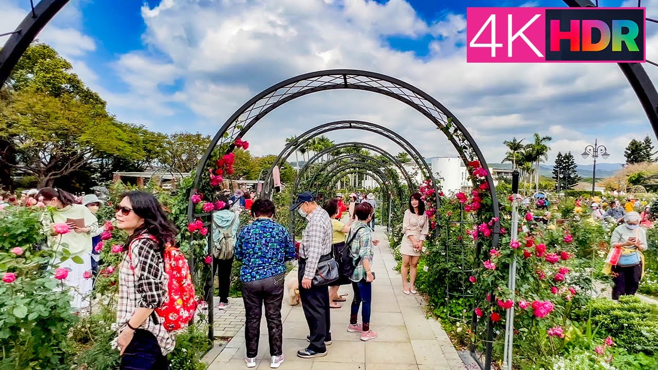 【臺北玫瑰展】花博公園新生園區｜4K HDR｜2022 Taipei Rose Festival - Taipei Expo Park, Xinsheng Area