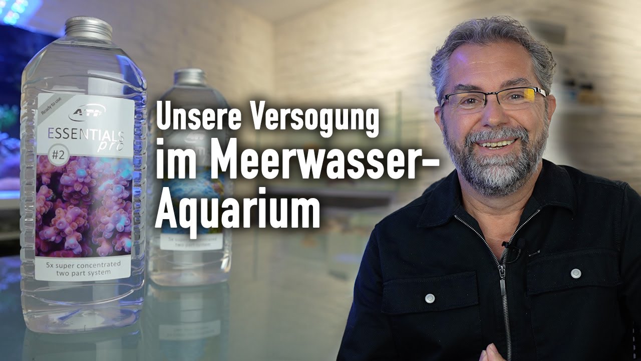 ATI Essentials Pro VS Essentials + "Was ist der Unterschied?"