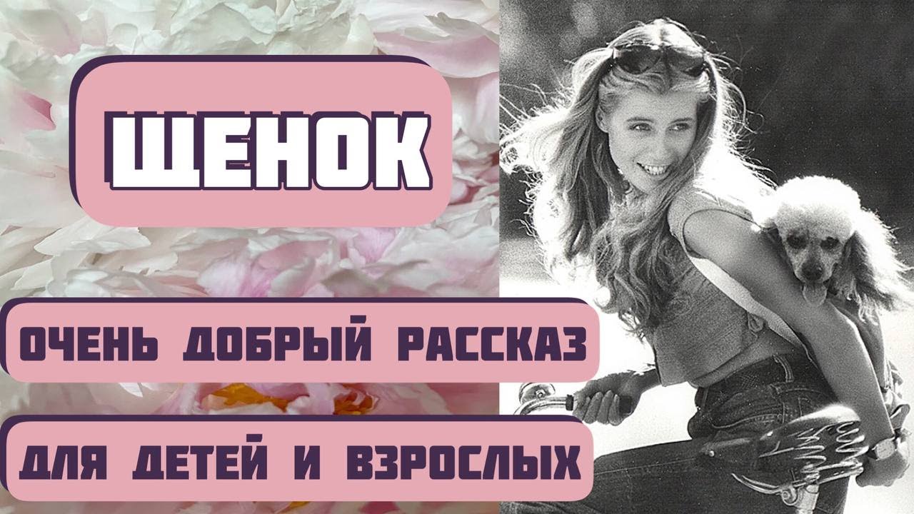 Щенок, или Очень важный поступок. Автор Николай Агафонов,читает Светлана Копылова.Интересная история