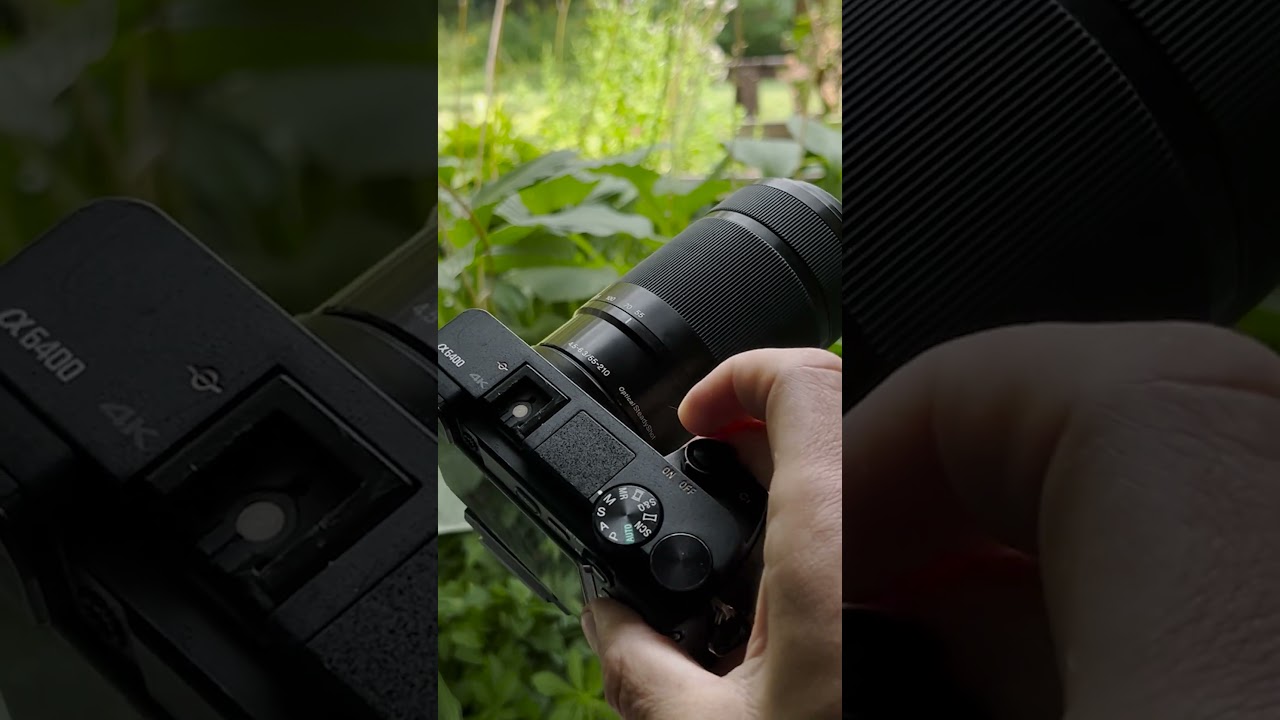 Sony 55-210mm + a6400 | Backyard Wildlife Photography (Red-Headed Woodpecker!)