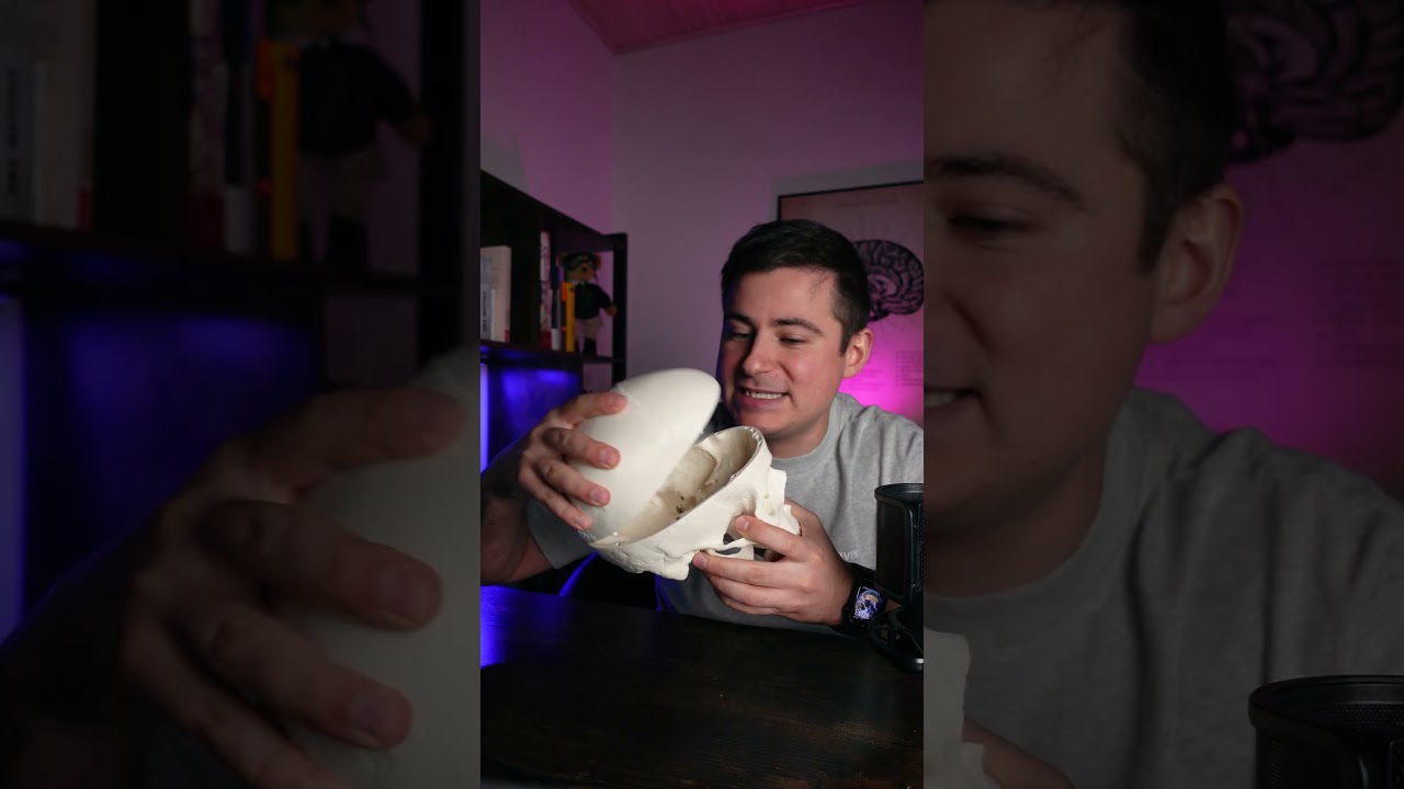 Чем отличается краниотомия от краниэктомии или учим греческий с Мамедычем