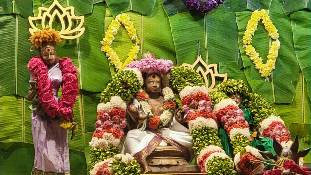 விருத்தாச்சலம் விருத்தகிரீஸ்வரர் கோவில் virudhachalam விருத்தாச்சலம் | திருவிழா | viruthagreeshwarar