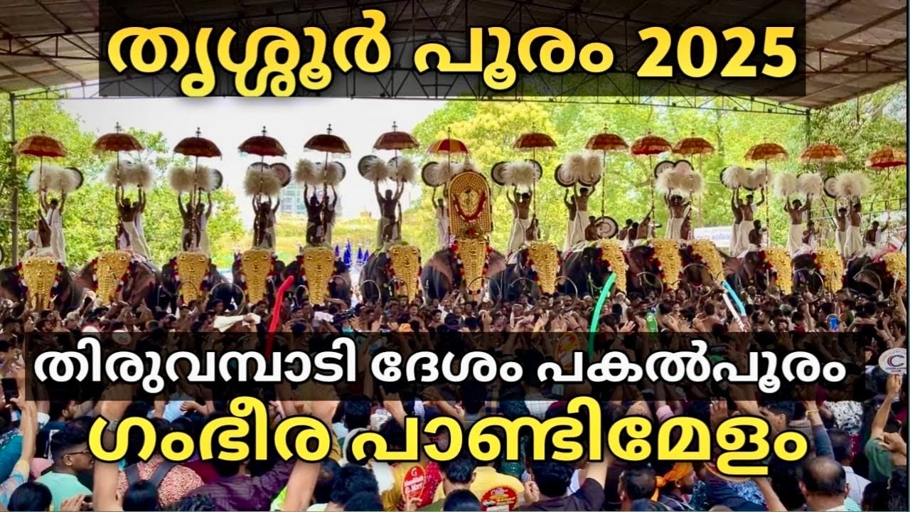 Thiruvambadi Desam Pandi Melam🔥(Full) Cheranalloor Sankarankutty Marar | Thrissur Pooram 2025