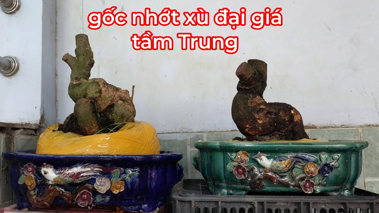 Gl 3 phôi gốc nhớt hàng đại 0989737454 