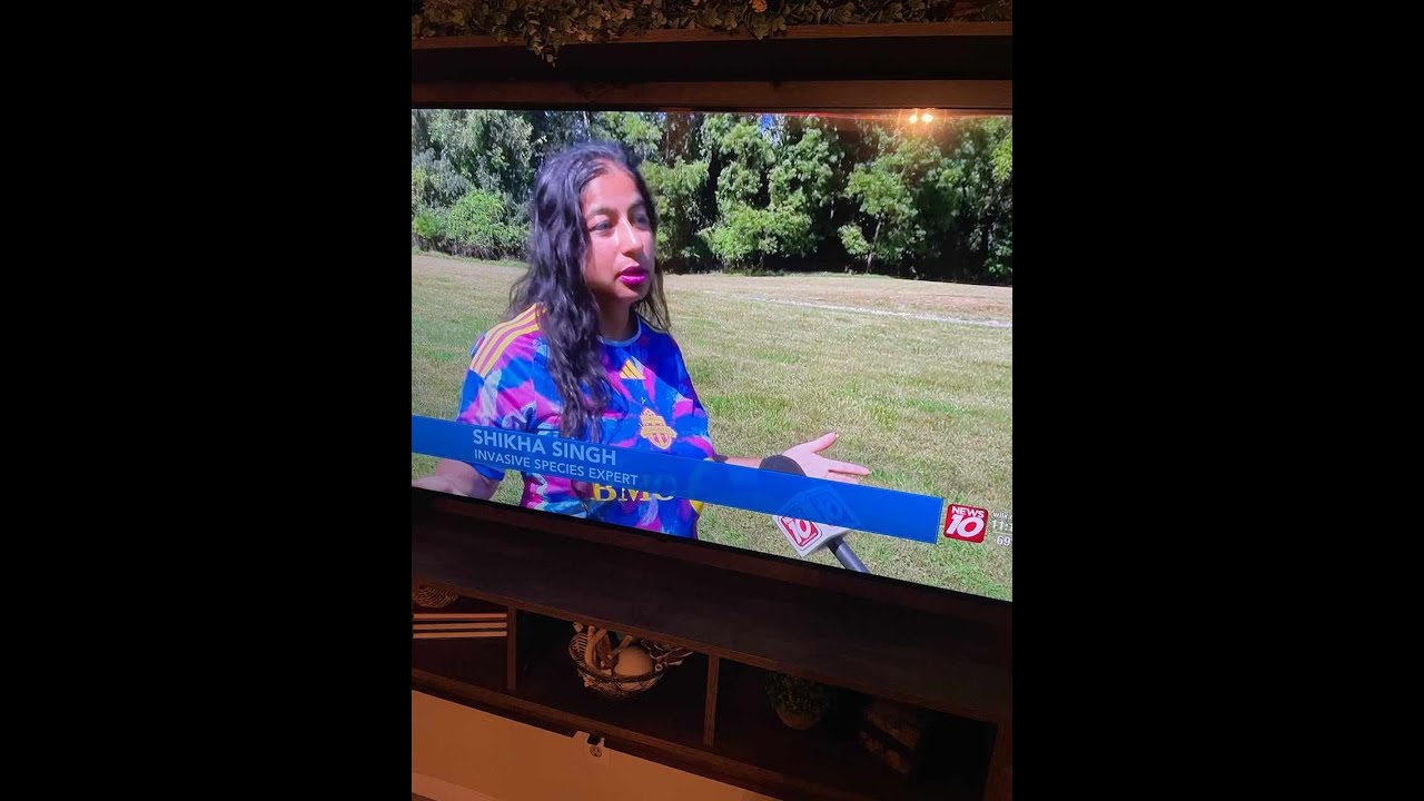 Japaneses knotweed interview with WILX 10