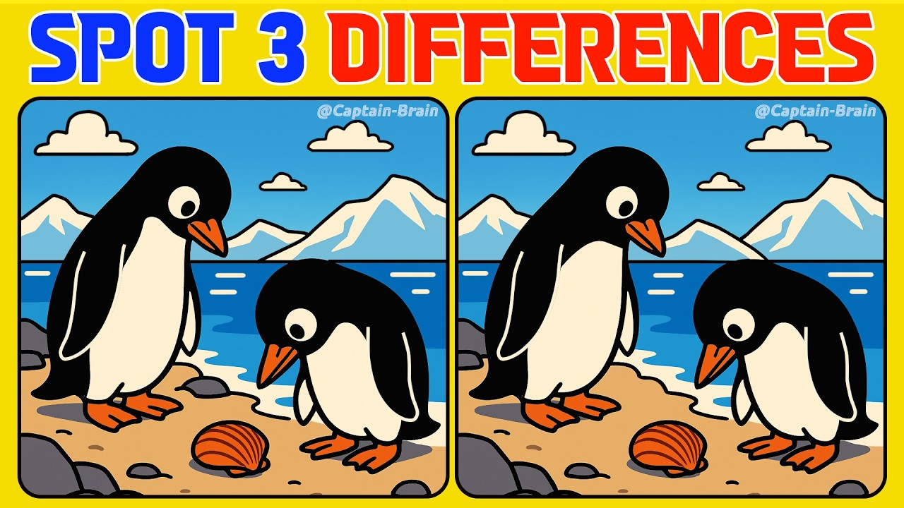 Test Your Mind With This Engaging Puzzle Set (Normal)