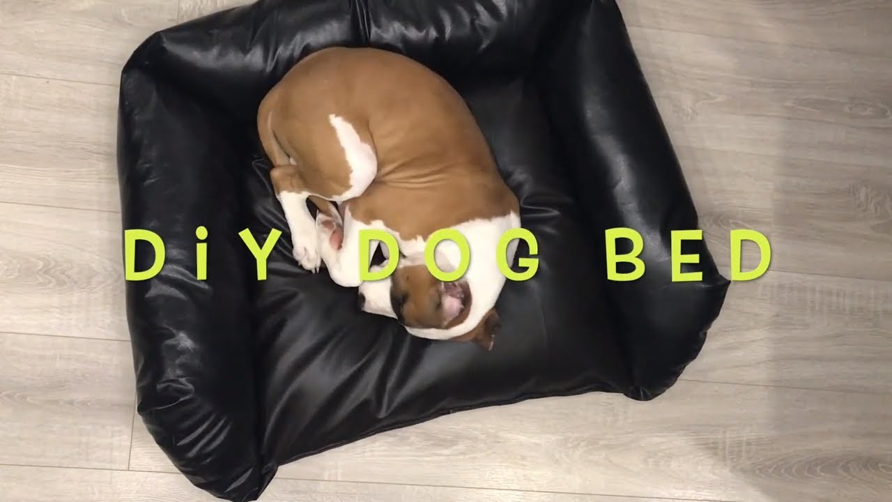 DIY Easy Dog  Bed | How to Make a Dog Bed | Recycling Idea