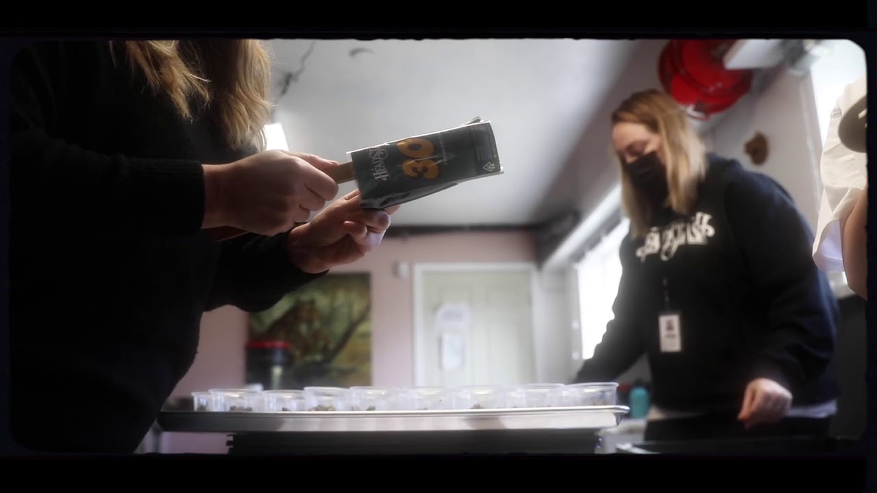 Headstash x Capolow - 304 Strain Promo Video