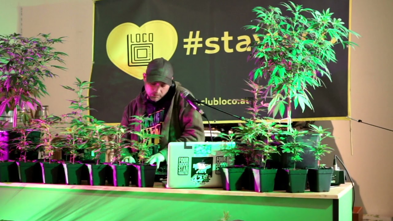 Loco 420 Special pres. by Energetic Flowers