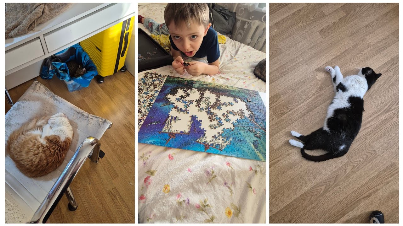 VLOG 606: СЛОЖНЫЙ ЗУБ