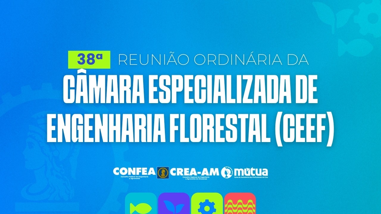 38ª Reunião Ordinária da CEEF - Crea Amazonas