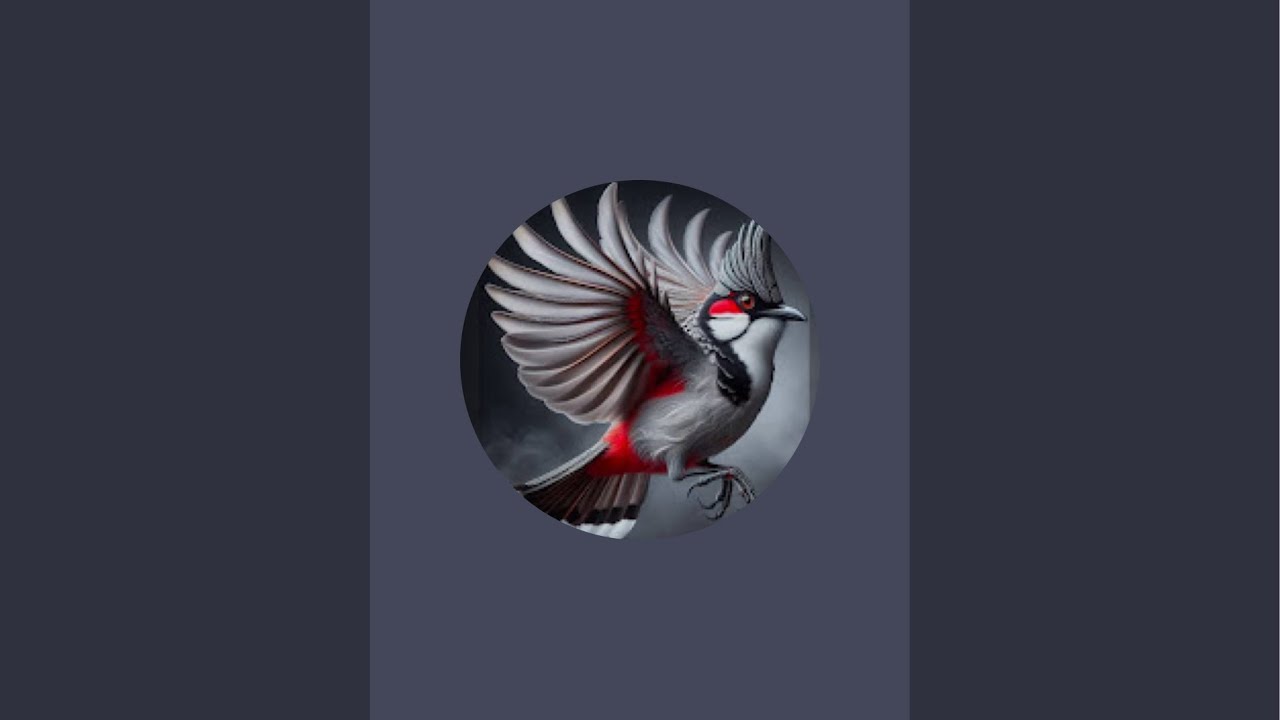 น่าน ทรัพย์ทวี333 กำลังถ่ายทอดสด!คัดหัวต่อพะเนียด