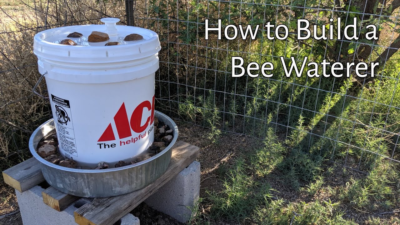 How to Build a Bee Waterer