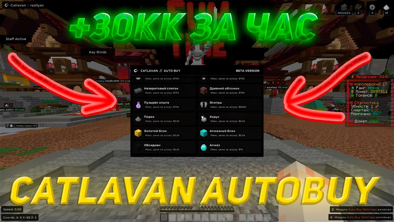 РАЗВИТИЕ С ПОЛНОГО НУЛЯ С АВТОБАЕМ НА АНАРХИИ FT - CATLAVAN CLIENT AUTOBUY 1.16.5 FT