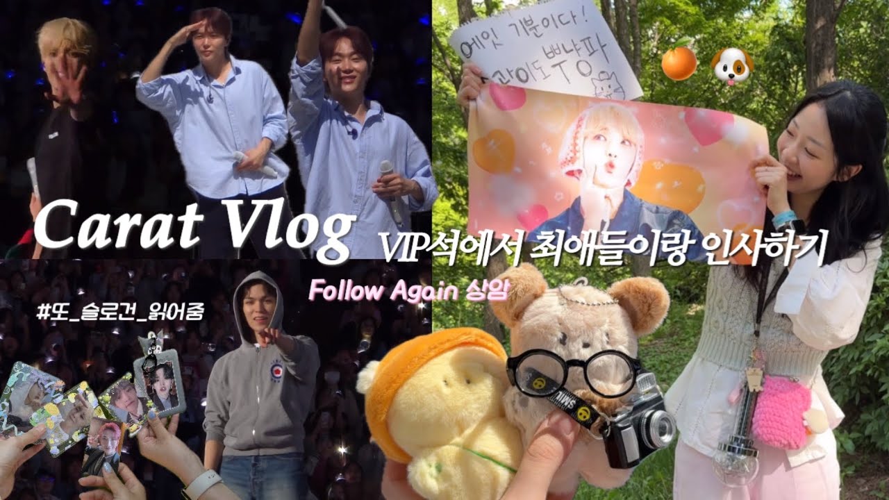 [캐럿로그] (4K) 팔콘 마지막 기록|난가? 싶으면 맞다그랬어|또 슬로건을 읽어주다|Follow Again 상암|사운드체크|상암월드컵경기장 시야|콘서트 브이로그 |콘서트 직캠