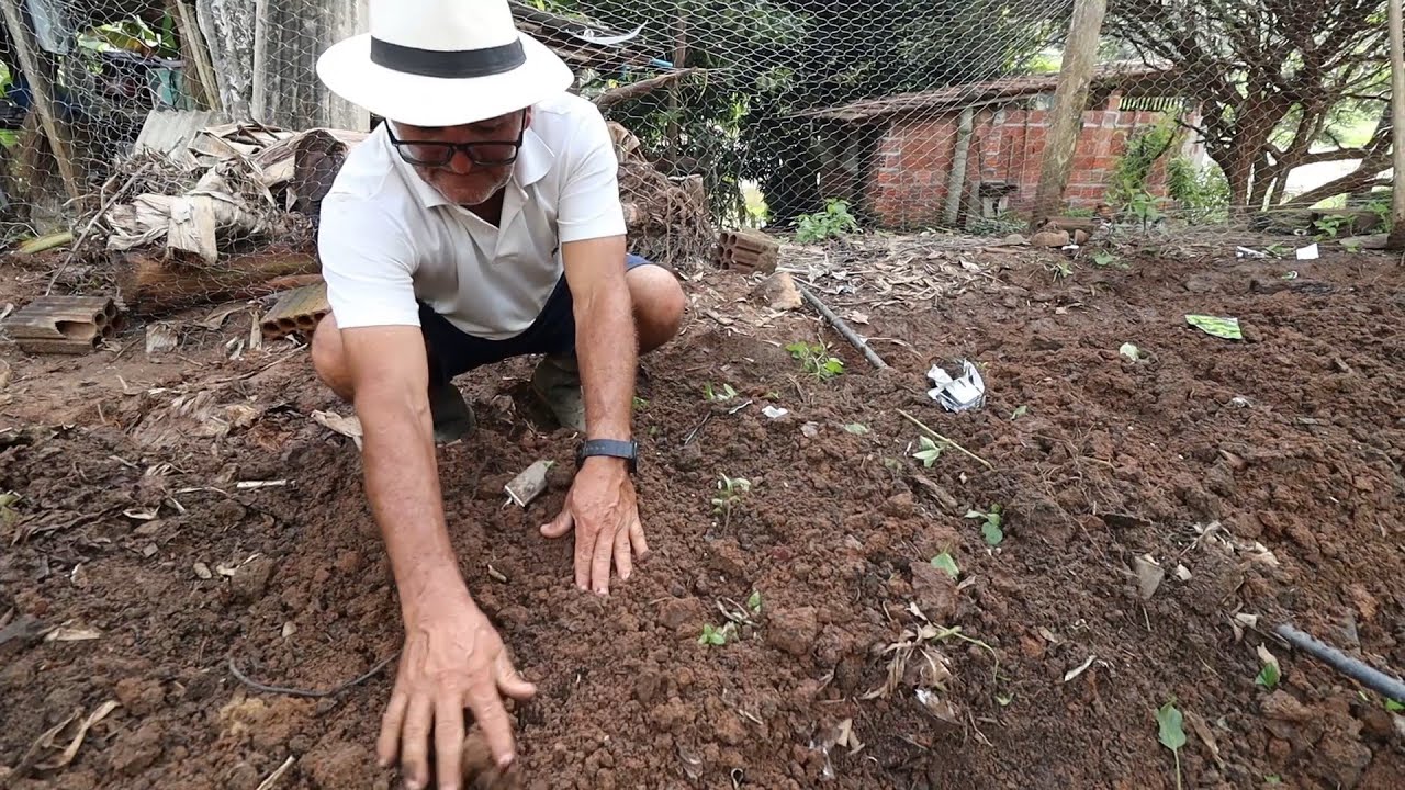 FAZENDO UMA NOVA HORTA E PLANTANDO ESPINAFRE E COENTRO