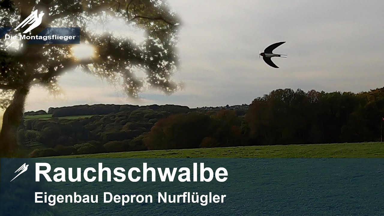 Rauchschwalbe Depron Nurflügler @FlugModell