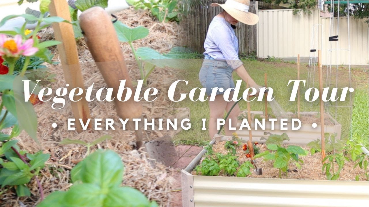 Vegetable Garden Tour | What I planted, Heirloom Seedlings, Autumn Prep