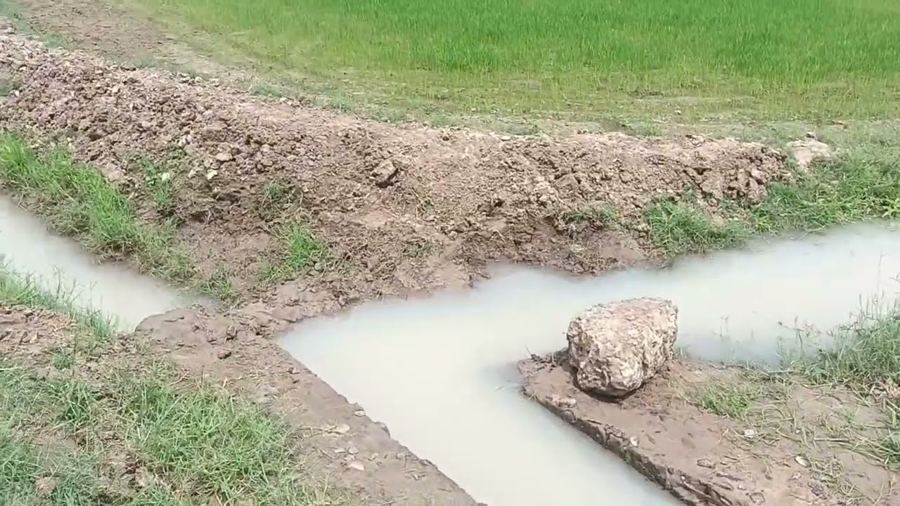 விவசாயத்தில் இவ்ளோ கஷ்ட்டம் 