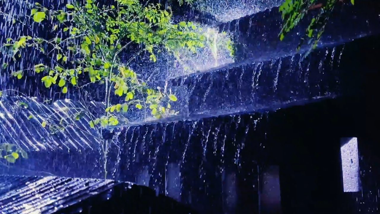 A Good Night's Sleep with Torrential Rain on the Rickety Metal Roof in Rainforest 💤