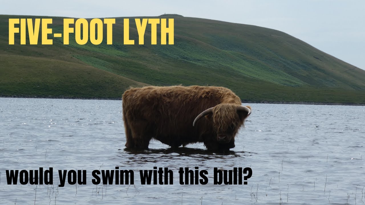 Burnmoor Tarn & Remote Lodge: Wild Swim Arrival