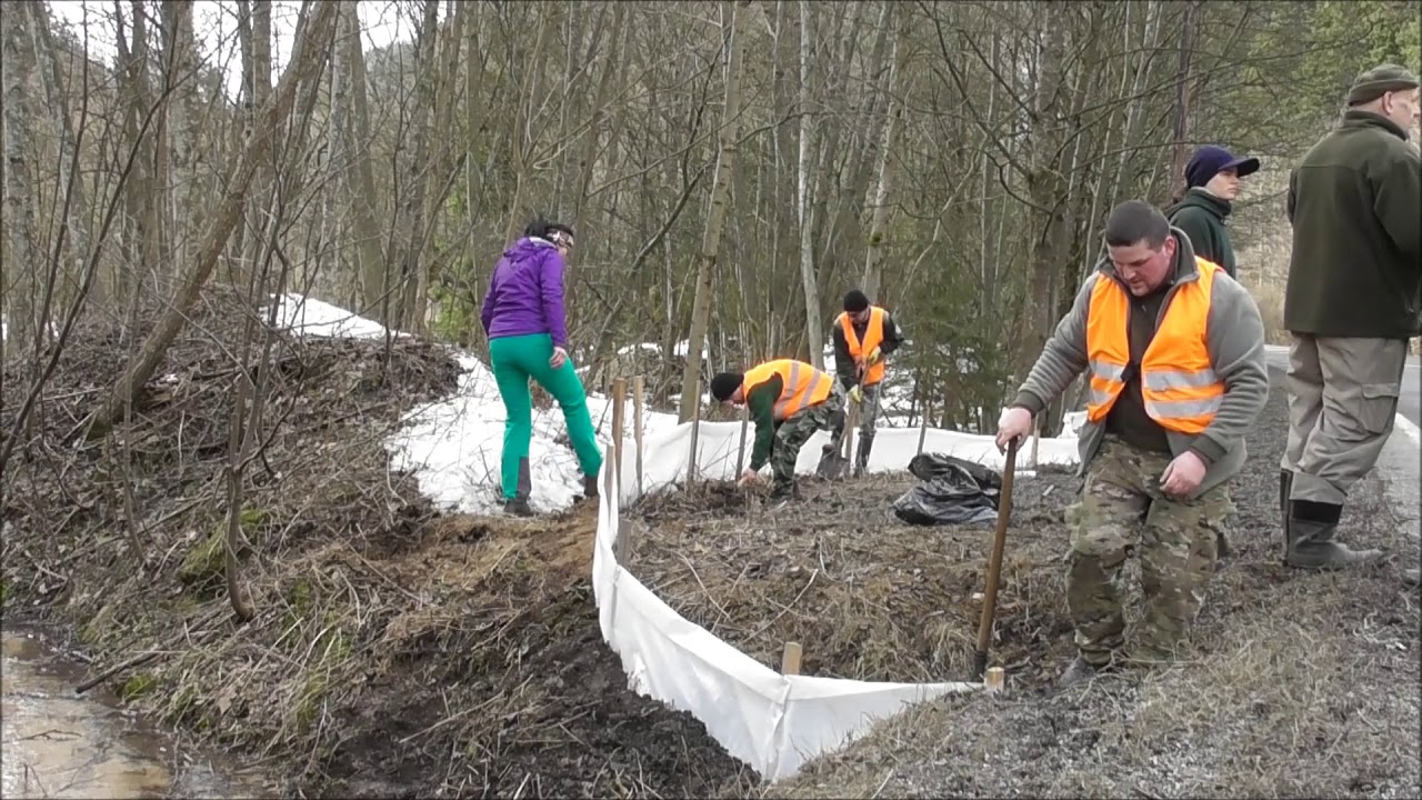 STAVANIE ZÁBRAN PRE MIGRUJÚCE ŽABY NA STARÝCH HORÁCH - NÁRODNÝ PARK NÍZKE TATRY