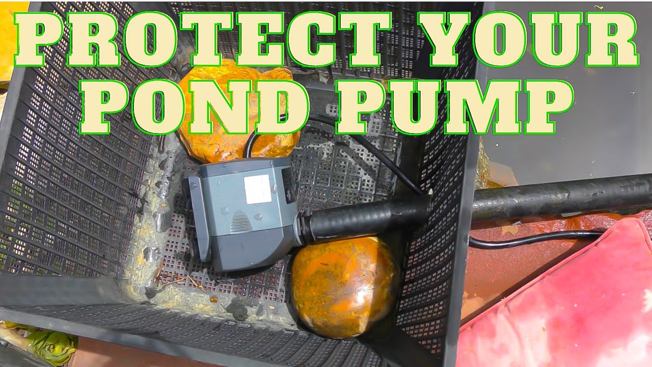 Koi Pond pump DIY leaf pre-filter