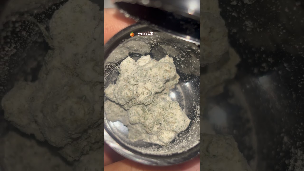 Orange runtz snowballs 🔥🫁🍊#freetheplant #cannabisdaily #foryou