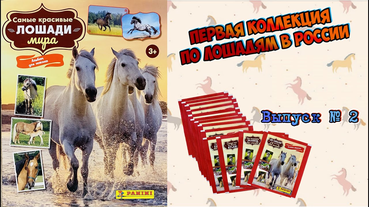 PANINI Альбом для наклеек 